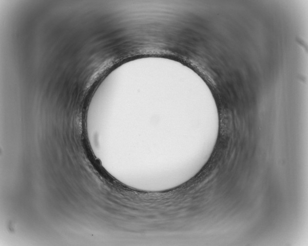 X0000096730015200802261504