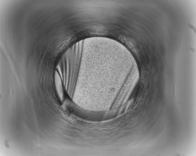 X0000096730017200802261504