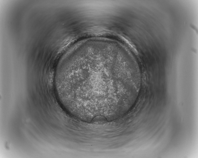 X0000096730018200802261504