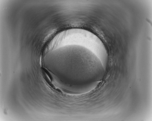 X0000096730019200802261504