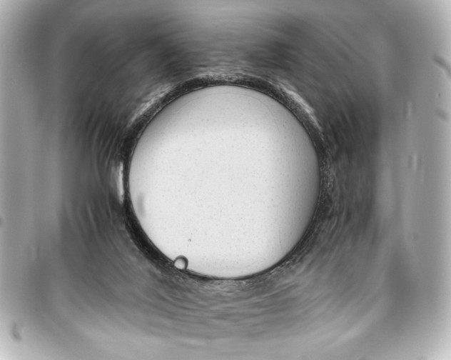 X0000096730020200802261504
