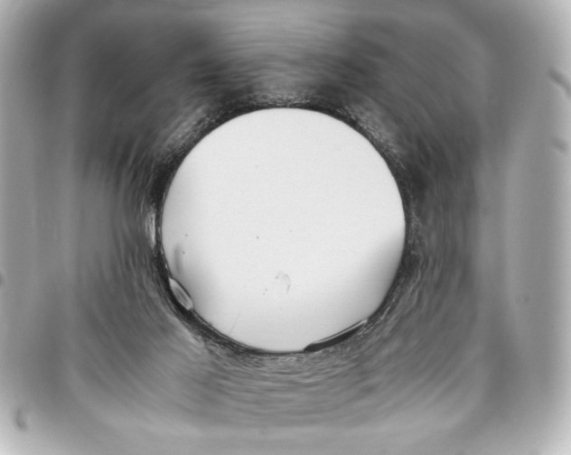 X0000096730021200802261504