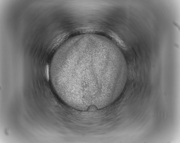 X0000096730022200802261504
