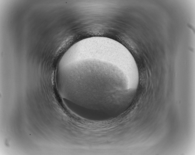 X0000096730023200802261504