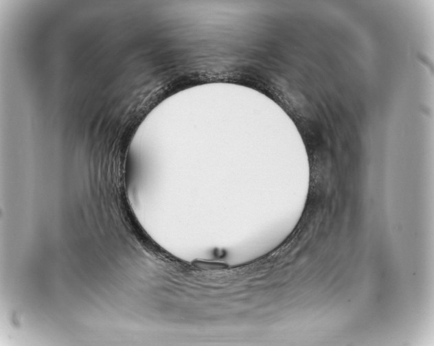 X0000096730025200802261504
