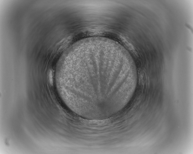 X0000096730026200802261504
