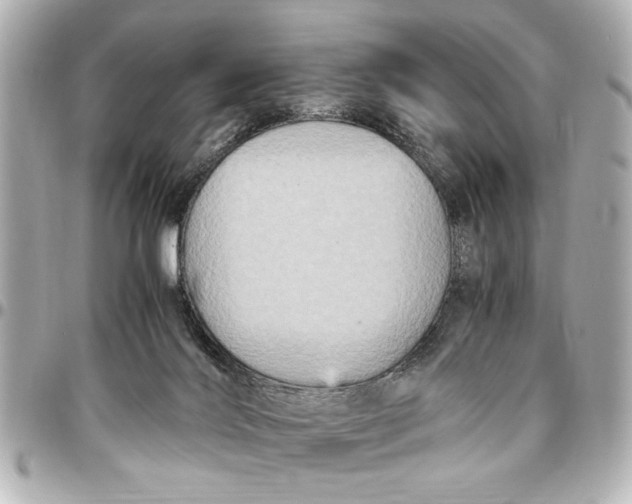 X0000096730028200802261504