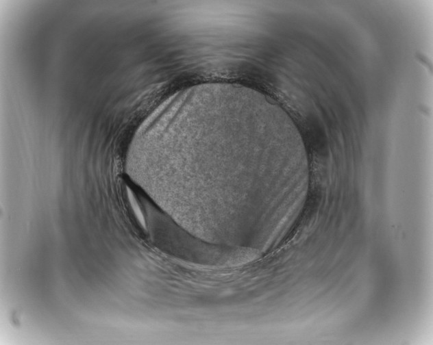 X0000096730029200802261504