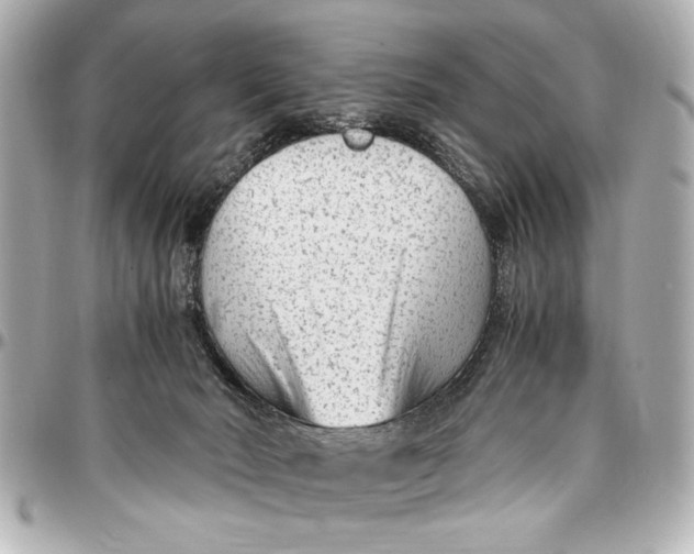 X0000096730030200802261504