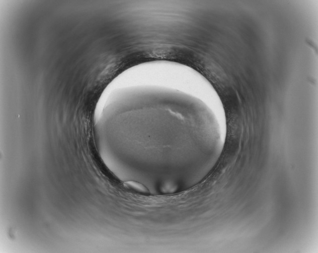 X0000096730031200802261504