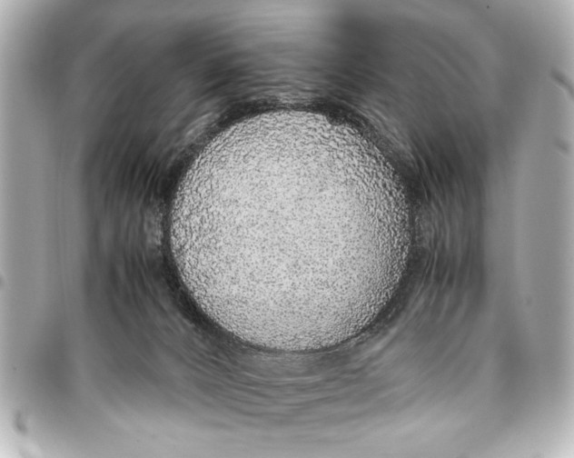X0000096730032200802261504