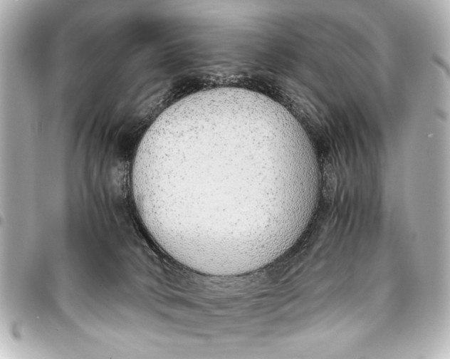 X0000096730034200802261504