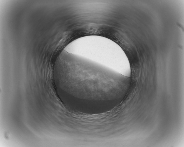 X0000096730035200802261504