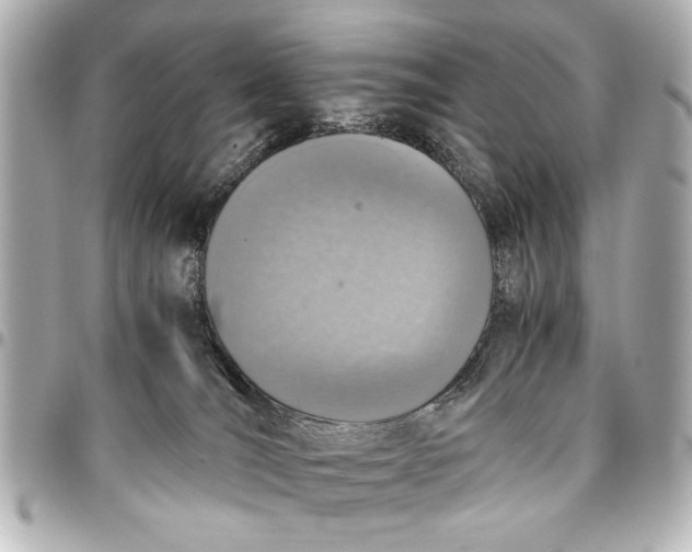 X0000096730036200802261504