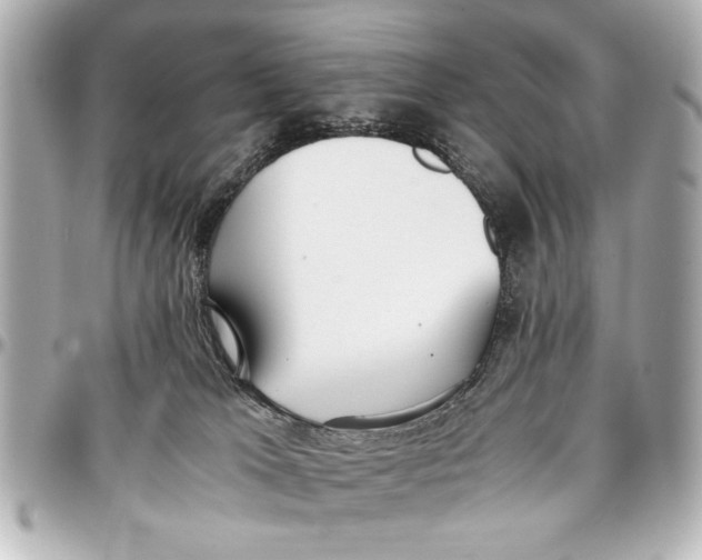 X0000096730037200802261503