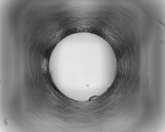 X0000096730038200802261503