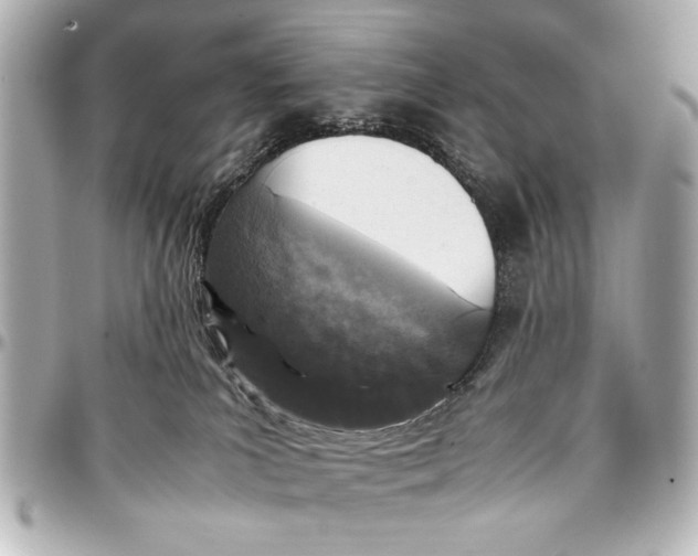 X0000096730039200802261503