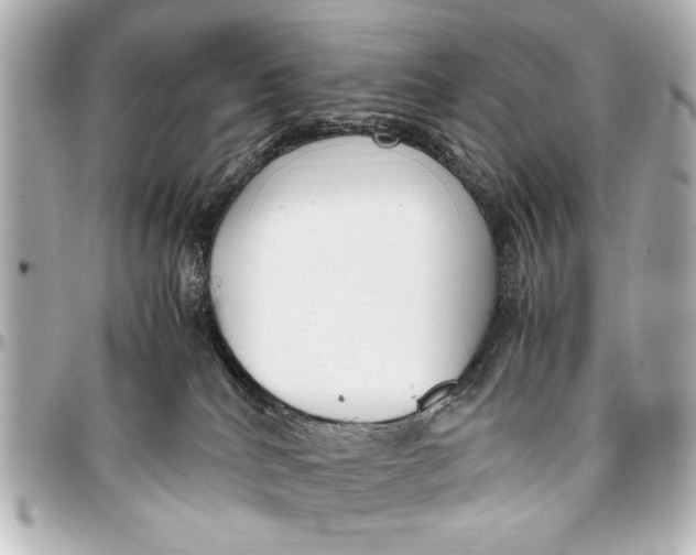 X0000096730040200802261503