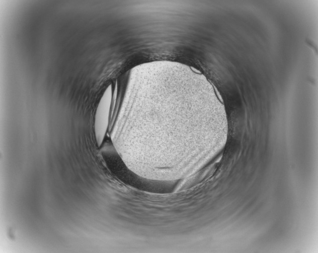 X0000096730041200802261503