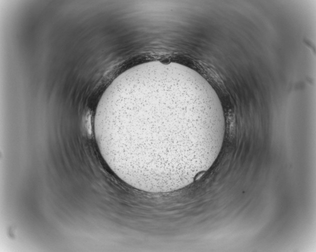 X0000096730042200802261503