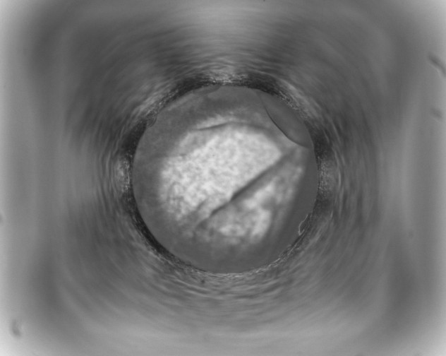 X0000096730043200802261503
