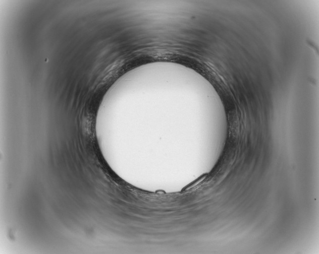 X0000096730044200802261503