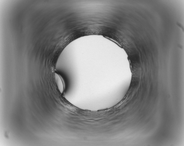 X0000096730045200802261503