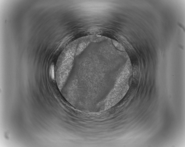 X0000096730046200802261503