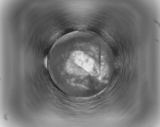 X0000096730047200802261503