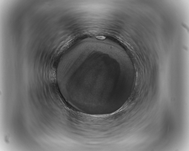 X0000096730048200802261503