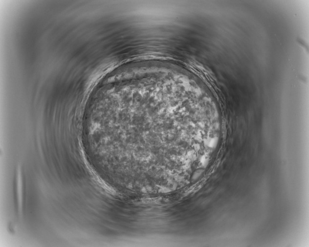 X0000096730049200802261503