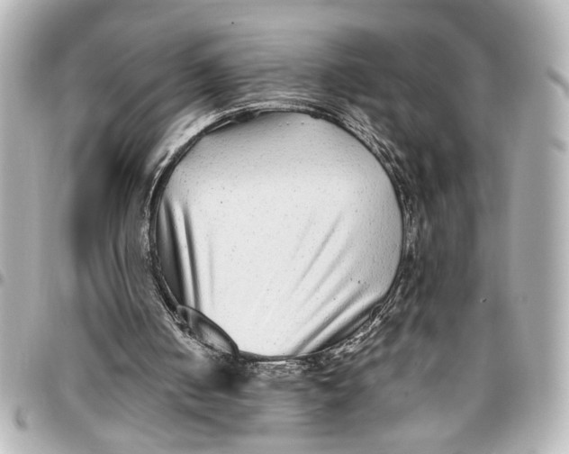 X0000096730050200802261503