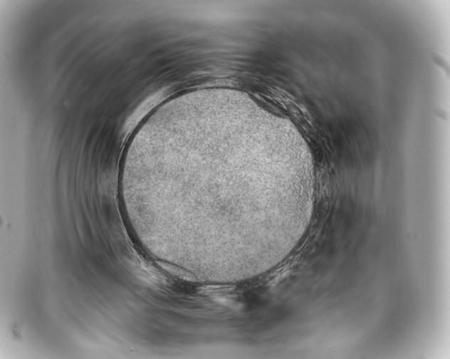 X0000096730051200802261503
