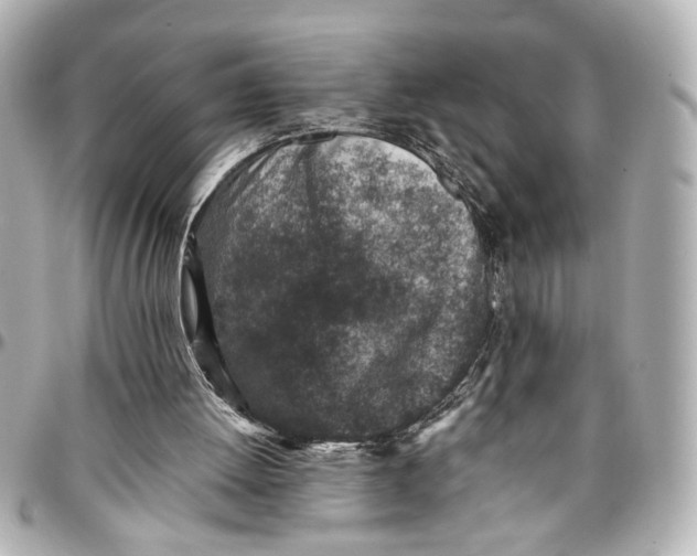X0000096730052200802261503