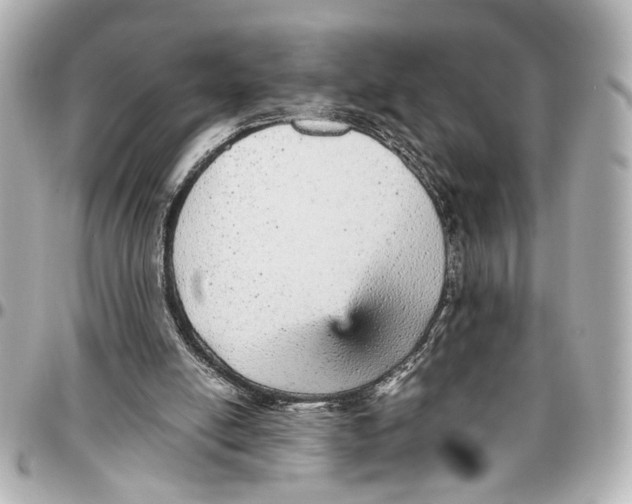 X0000096730054200802261503