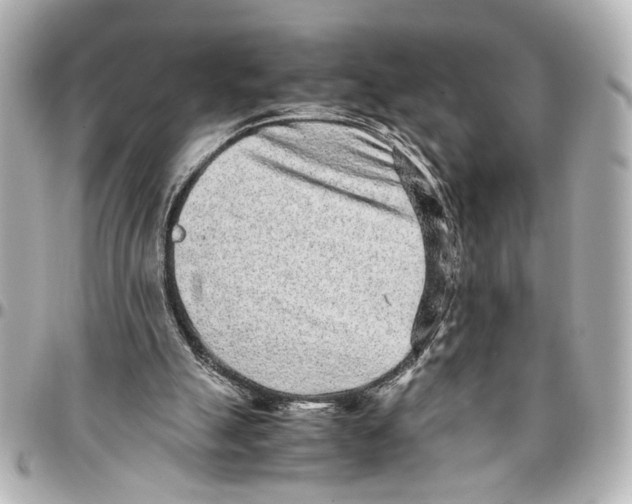 X0000096730055200802261503