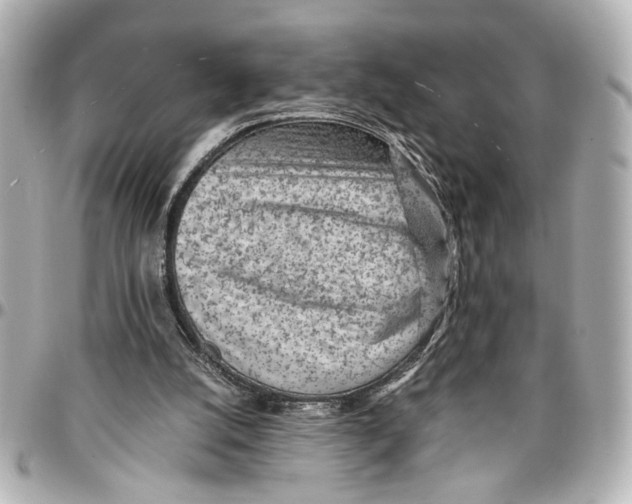 X0000096730056200802261503