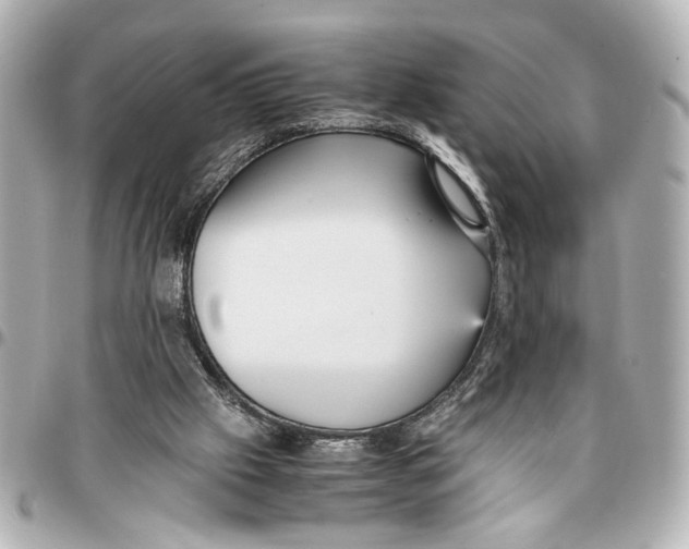 X0000096730057200802261503