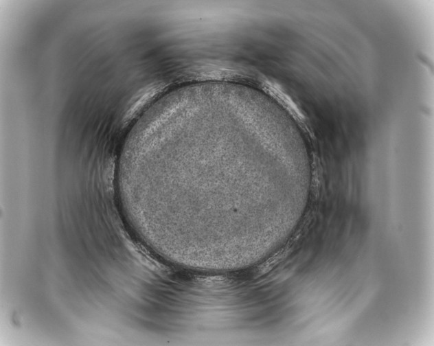 X0000096730058200802261503