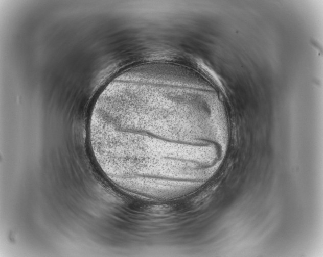 X0000096730059200802261503