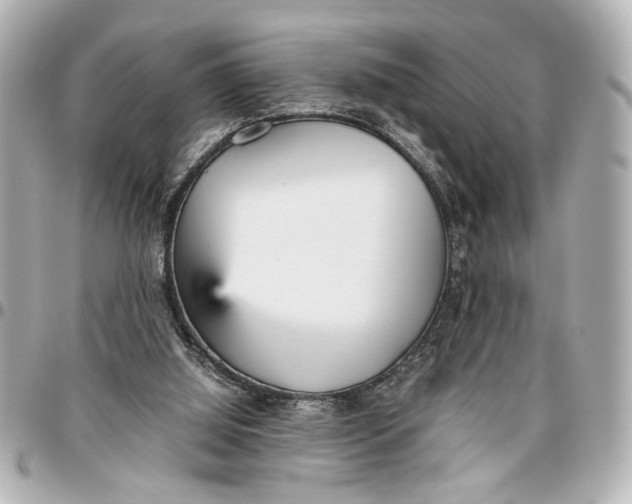 X0000096730060200802261503