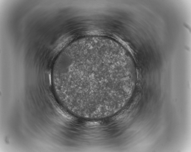 X0000096730061200802261503