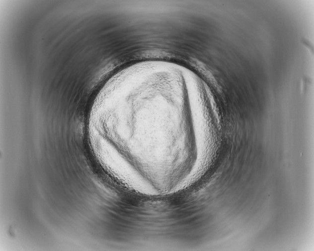 X0000096730063200802261503