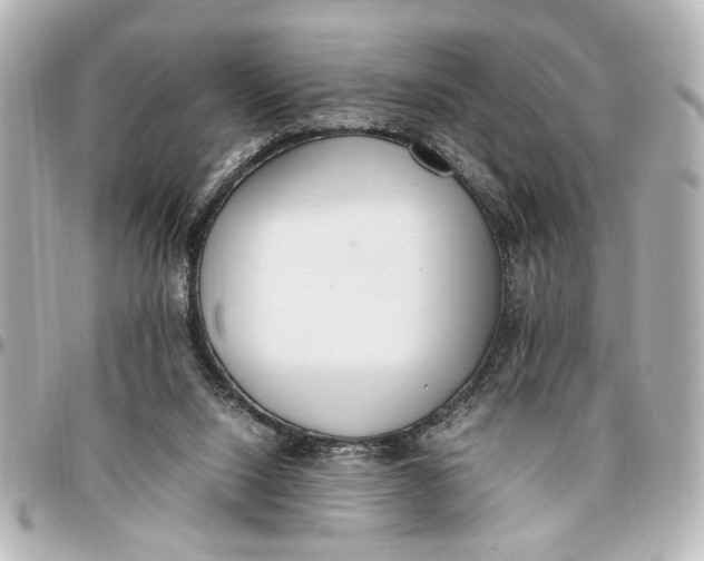 X0000096730064200802261503