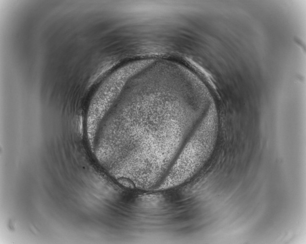 X0000096730067200802261503