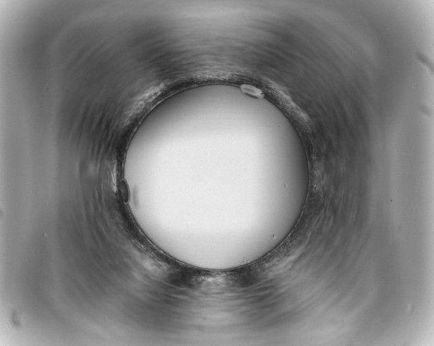 X0000096730068200802261503