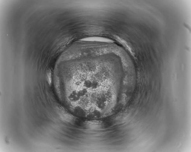 X0000096730069200802261503