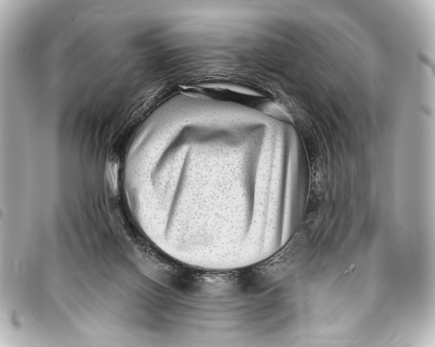 X0000096730070200802261503