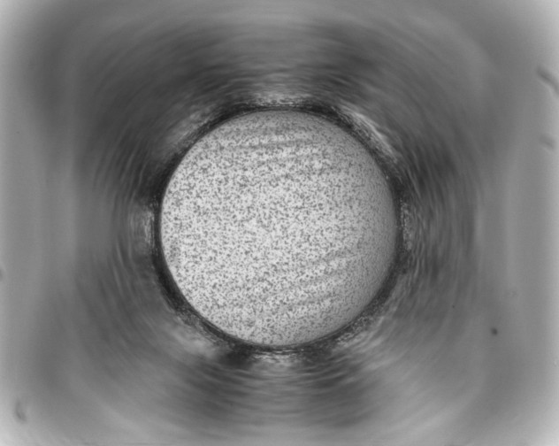 X0000096730071200802261503