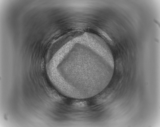X0000096730073200802261503